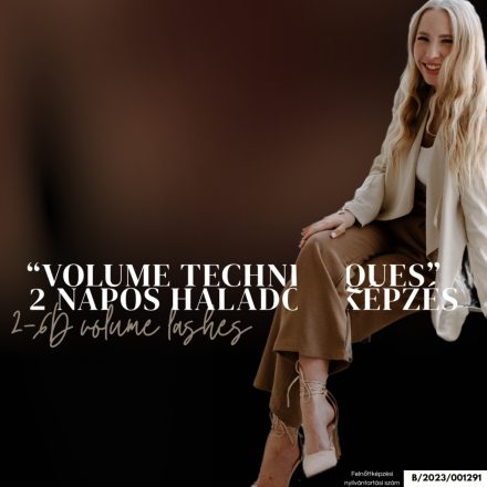 VOLUME TECHNIQUES – 2-6D VOLUME KÉPZÉS