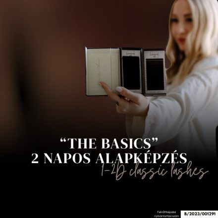 THE BASICS – 1-2D ALAPKÉPZÉS